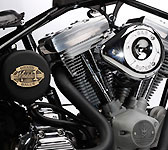 brassballsbobbers3