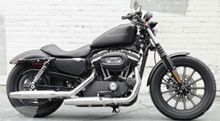 sportsterdarkiron883